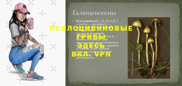 Альфа ПВП Зерноград