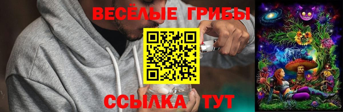 Галлюциногенные грибы ЛСД Северск